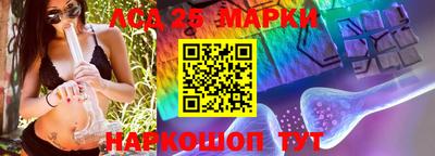 прущие грибы Тверь
