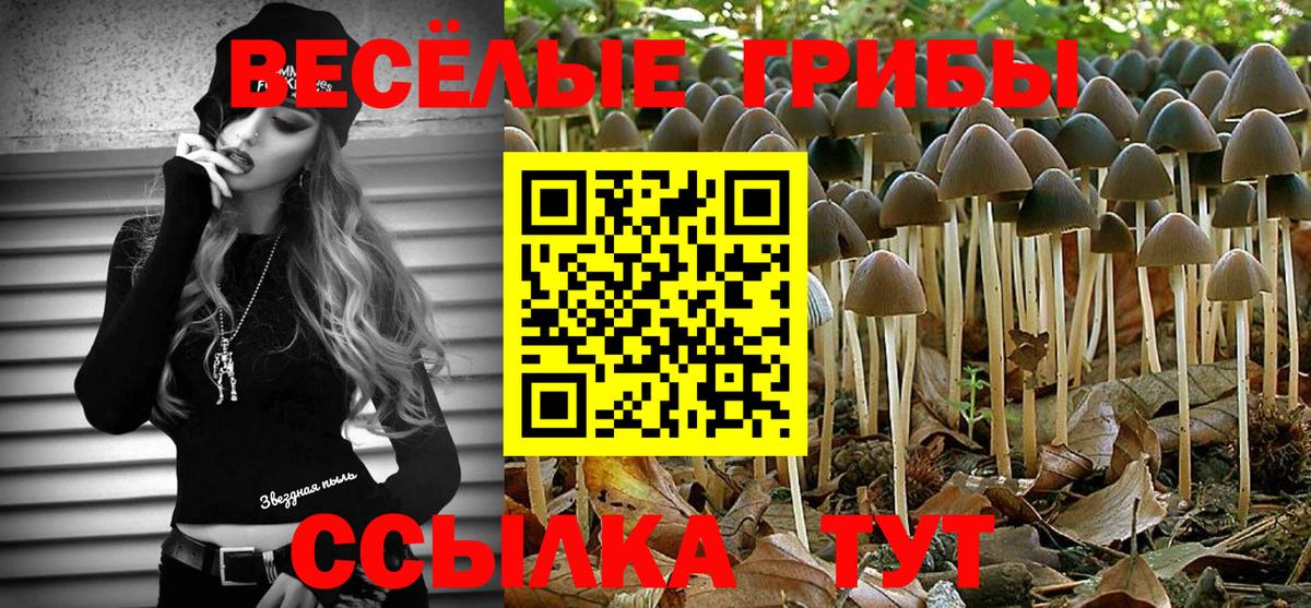 Богородск  Псилоцибиновые грибы ЛСД  Вход с VPN  Псилоцибиновые грибы ЛСД 